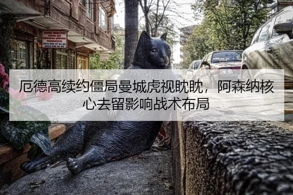 e-de-gao-xu-yue-jiang-ju-man-cheng-hu-shi-dan-dan-a-sen-na-he-xin-qu-liu-ying-xiang-zhan-shu-bu-ju-2-975.jpg