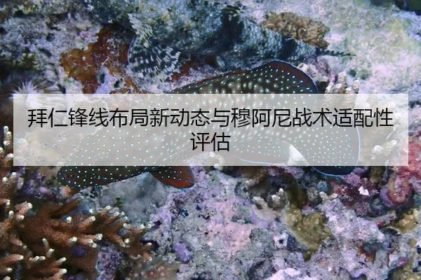 bai-ren-feng-xian-bu-ju-xin-dong-tai-yu-mu-a-ni-zhan-shu-shi-pei-xing-ping-gu-2-474.jpg
